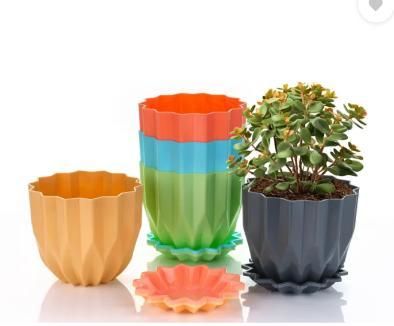 Cammy Plastic Star Flowerpots with Tray Multicolor Set of 5 Piece